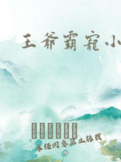 王爷霸宠小甜妻