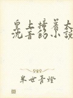 皇上撞着太子妃沈音的小说叫什么