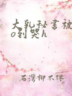 大乳秘书被cao到哭h