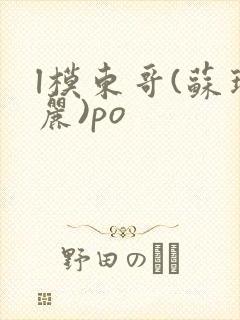 l模东哥(苏玛丽)po