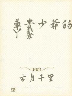 尊贵少爷的大牌丫鬟