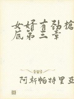 女婿有劲枪枪到底第三章