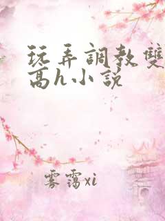 玩弄调教双胞胎高h小说