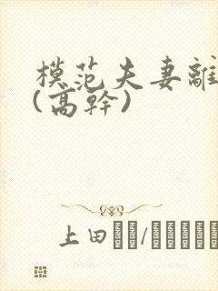 模范夫妻离婚了(高干)