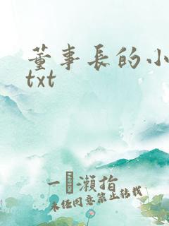 董事长的小王爷txt