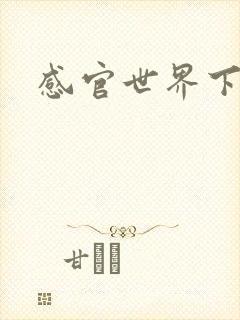 感官世界下载