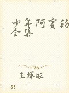 少年阿宾的故事全集