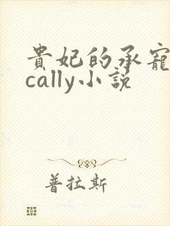 贵妃的承宠日常cally小说