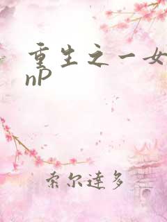 重生之一女九龙nP