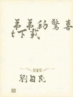 弟弟的惊喜txt下载