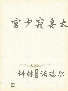 宫少宠妻太凶猛