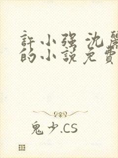 许小强 沈丽娟的小说免费阅读