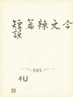 短篇辣文合集小说