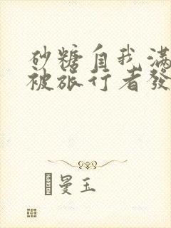 砂糖自我满足时被旅行者发现小说