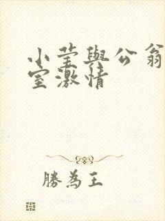 小莹与公翁办公室激情