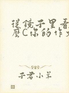 从镜子里看我怎么C你的作文