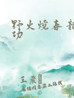 野火烧春 龙鸣功