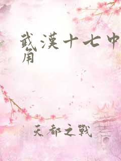 武汉十七中女主角