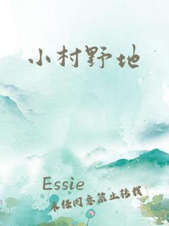 小村野地