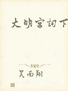 大明宫词下载