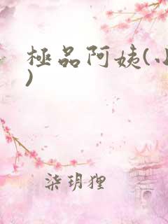 极品阿姨(小说)