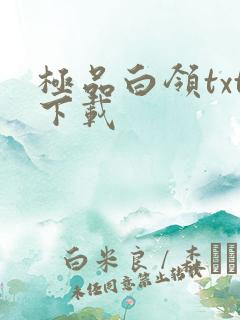 极品白领txt下载
