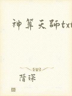 神算天师txt
