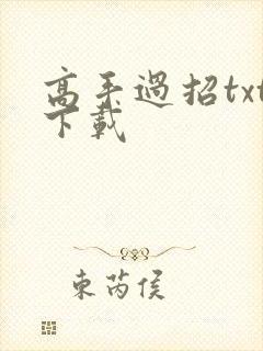 高手过招txt下载