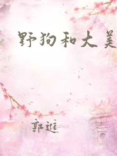 野狗和大美人