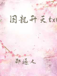 困龙升天txt