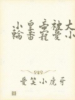 小皇帝被大臣们轮番宠爱小说