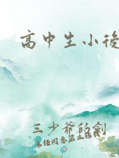 高中生小后妈