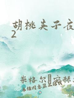 胡桃夹子夜未眠2