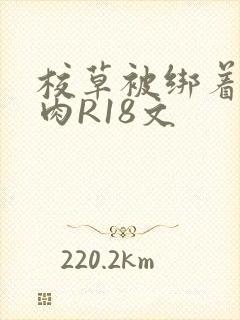 校草被绑着玩纯肉R18文