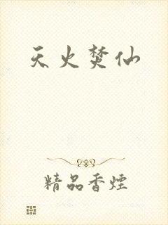 天火焚仙