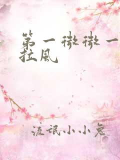 第一微微一笑很拉风