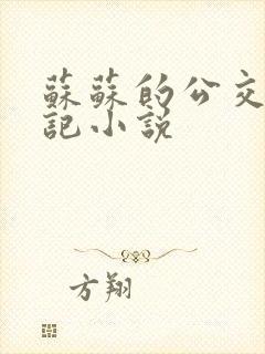 苏苏的公交车日记小说