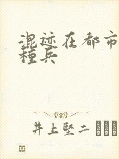 混迹在都市的特种兵