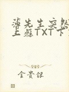 薄先生突然黏她上瘾TXT下载