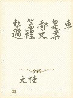 整篇都是车的肉过程文案