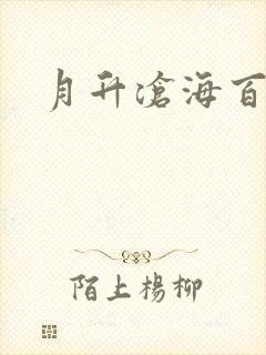 月升沧海百度云