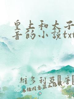 皇上和太子妃沈音的小说txt