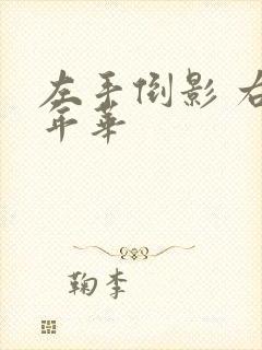 左手倒影 右手年华