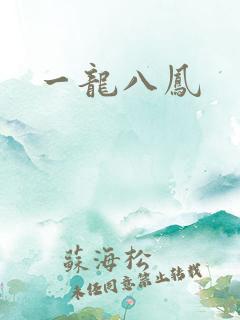一龙八凤