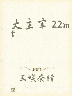 大主宰 22mt