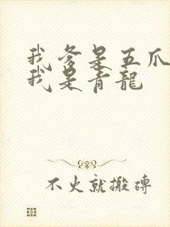 我爹是五爪金龙我是青龙