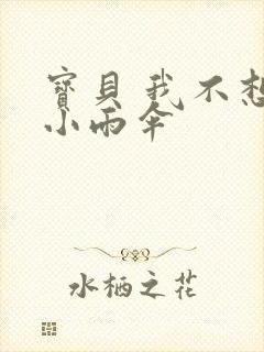 宝贝 我不想带小雨伞