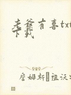 老爷有喜txt下载