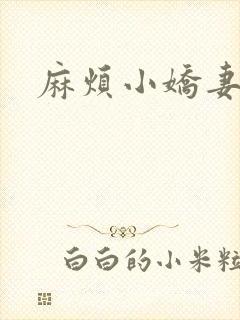 麻烦小娇妻