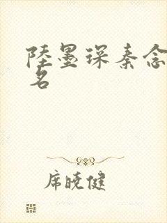陆墨琛秦念小说名